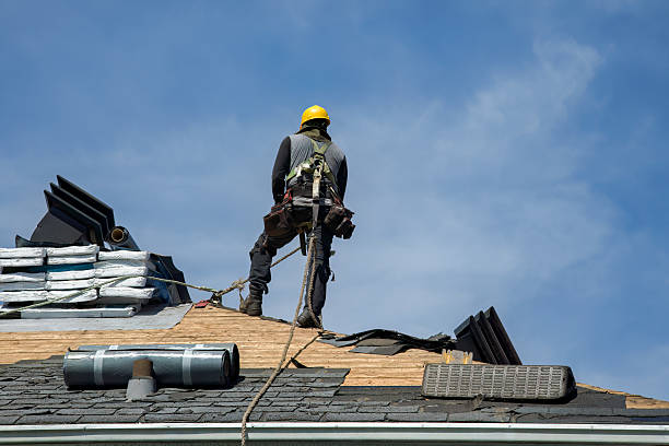 Professional Roofing technician working in Davenport, ND